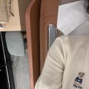 세라젬 롯데백화점 본점 이미지