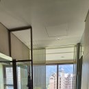 소노펠리체 델피노 이미지