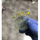 카멜리아뷰티