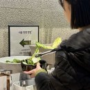 금동뷔페 이미지