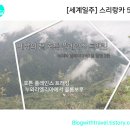 준이농장1 이미지