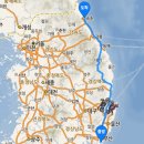 배틀스피릿투지바이크 | 푸구리 타이어 교체 그리고 리퀴몰리 MOS2 주입 후기 [고물택시 _ 야마하 XSR900 _ 스틸메이트 TP-90I...