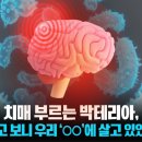 NY단치과 이미지