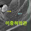 서울단오치과의원 이미지