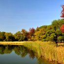 동화구연 지도사 1급 자격증 과정 이미지