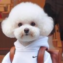 개금2동-11 이미지