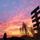 붉은노을 이미지