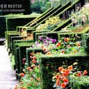 윌리엄가든 이미지