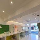 퍼피루스 이미지