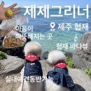 (주)제주협재콘도미니엄 | [제주/제제그리너] 협재 애견동반카페, 협재 오션뷰는 여기🌊
