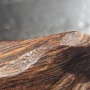 불로초 한의원 이미지