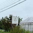 샬롬의집 | 포항 호미곶 숙소 포항 가족여행 숙소 샬롬민박 사랑방 후기 (애견 동반 가능)
