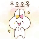 해피돈 - 안산시 상록구 식물원로 8 | 해피돈