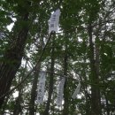 북면사무소 이미지