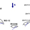 안녕하십니까 14학번 조하현입니다. (요트란 무엇인가) 이미지