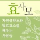 나눔장터 모금액 실시간 적립현황/농협 ***-****-****-**(06월05일11시39분) ￦2,038,,162 이미지