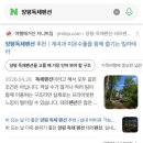 더에스제이펜션 | 펜션 홈페이지 제작, 노출은 되는데 예약 문의가 늘지 않는 이유