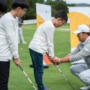 꿈나무수정 이미지