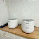 망고 스테이 이미지