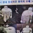 통영장갑