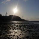 장경리해변 야영장 이미지