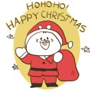 두리애견 이미지