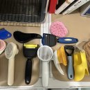 더빛나개 | 애견셀프목욕 <더빛나개>의 매력과 장점