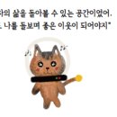 쌀롱드북 이미지