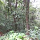 송정동-6 이미지