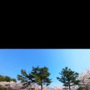 예원숲어린이집 이미지