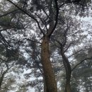 한강의 [작별하지 않는다]를 따라-4.3문학길을 걷다 이미지