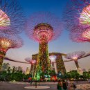 바이더스쿨 이미지