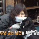 장정숙농장 티스토리