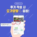 엑스티브 휘트니스 | 광주에서 요가 제일 잘하는 집_삼인필라테스&amp;요가