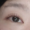 [대구 후기] 태리왁싱 속눈썹 펌 후기- 대구왁싱, 대구 대명동 왁싱, 대구 대명동 브라질리언왁싱