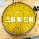 스틸텅드럼교실(타악기) | 김포 해든누리 주간 활동 서비스 - 힐링을 주는 타악기 스틸 텅 드럼 배우기