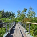 양화어린이공원 이미지