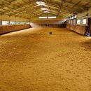 블루홀스 승마센터 이미지