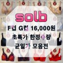 비너스&솔브 티스토리