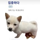 부광상회 | 근황