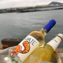 조천 제방화장실3 | 제주! 야장의 계절 조천수산 이용 꿀팁! 사전 정보 알고 가면 더 즐겁다!