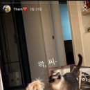 옹기종기 이미지