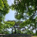 양주청소년문화의집 다목적실 | 가평 양평군 세미원~두물머리(입장료, 운영시간, 소요시간, 후기) 서울근교가볼만한 곳