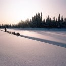 [영화음악] Doctor Zhivago(닥터 지바고,1965) / Maurice Jarr(모리스 자르) 이미지