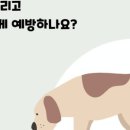 구름동물병원 네이버블로그