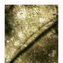 용동1리 이미지