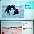 스마트폰 사진찍기 이미지