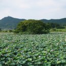 병영면사무소 이미지