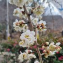 속천종점 이미지