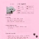 1471 | [#1471] 뽀글(우측 전방십자인대)의 수술후기